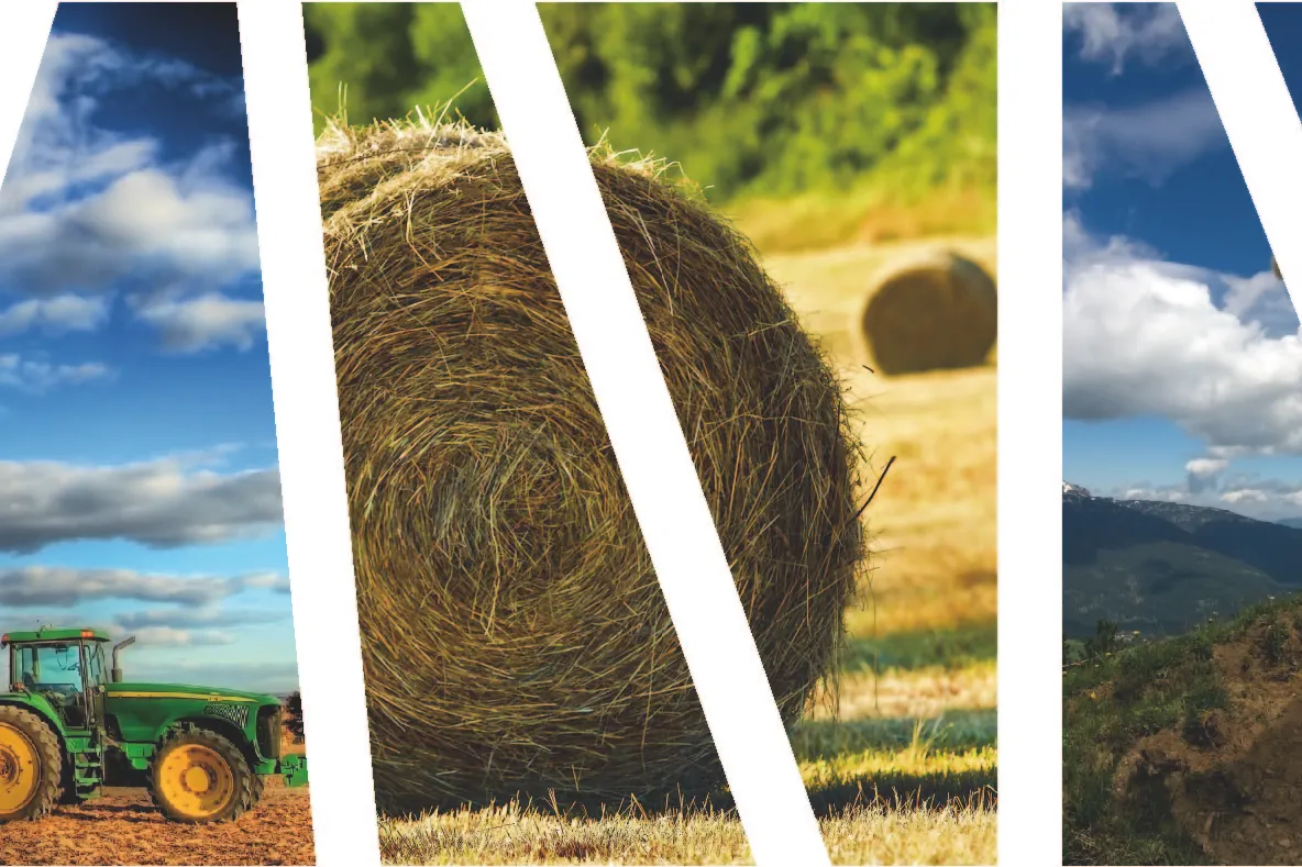Directorul AFIR anunţă mai mulţi bani UE pentru cooperativele agricole