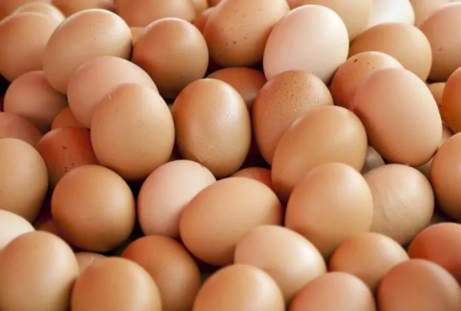 Alte 260.000 de ouă cu Fipronil, ridicate de la ferma din Scornicești