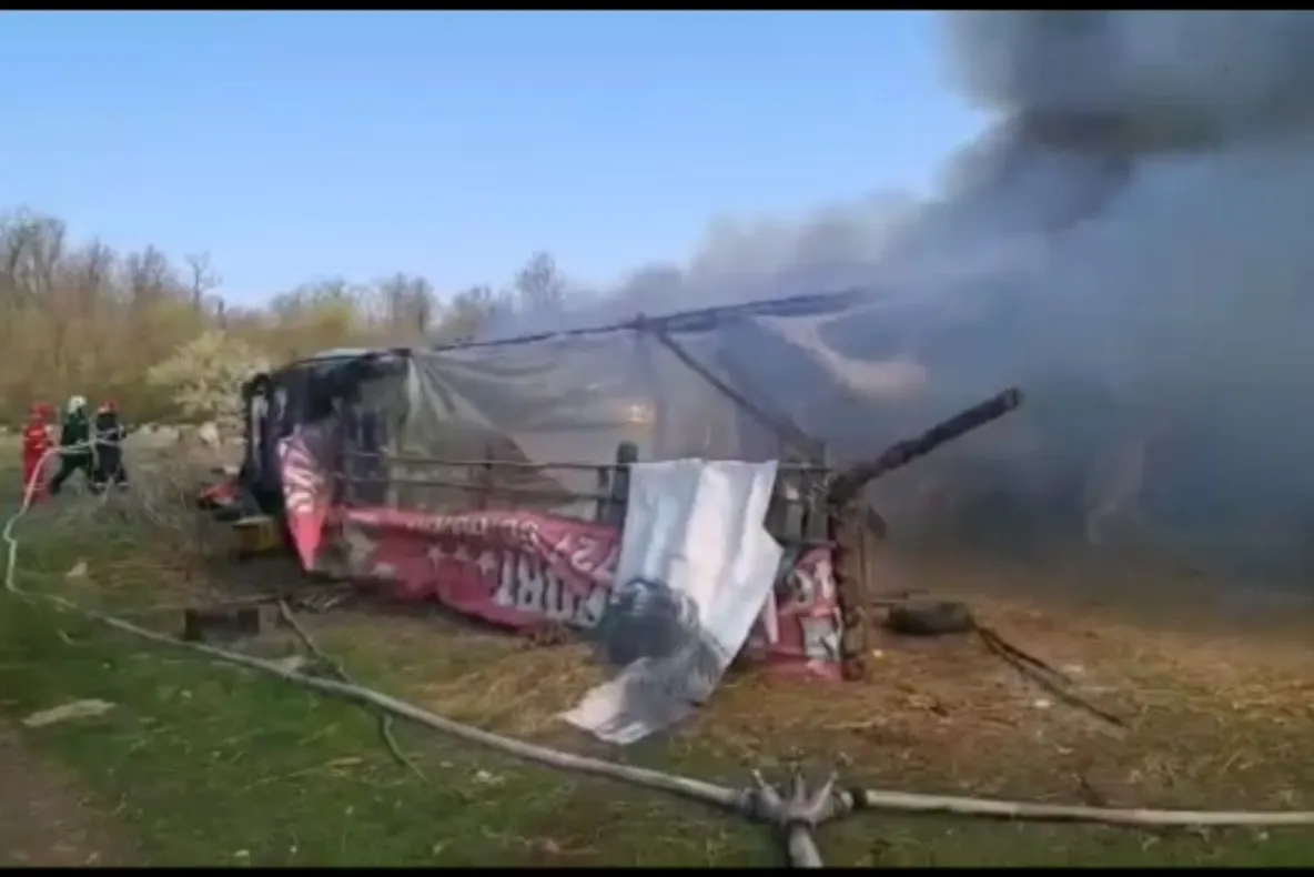 Incendiu cu pagube însemnate, într-o comună din Olt - VIDEO
