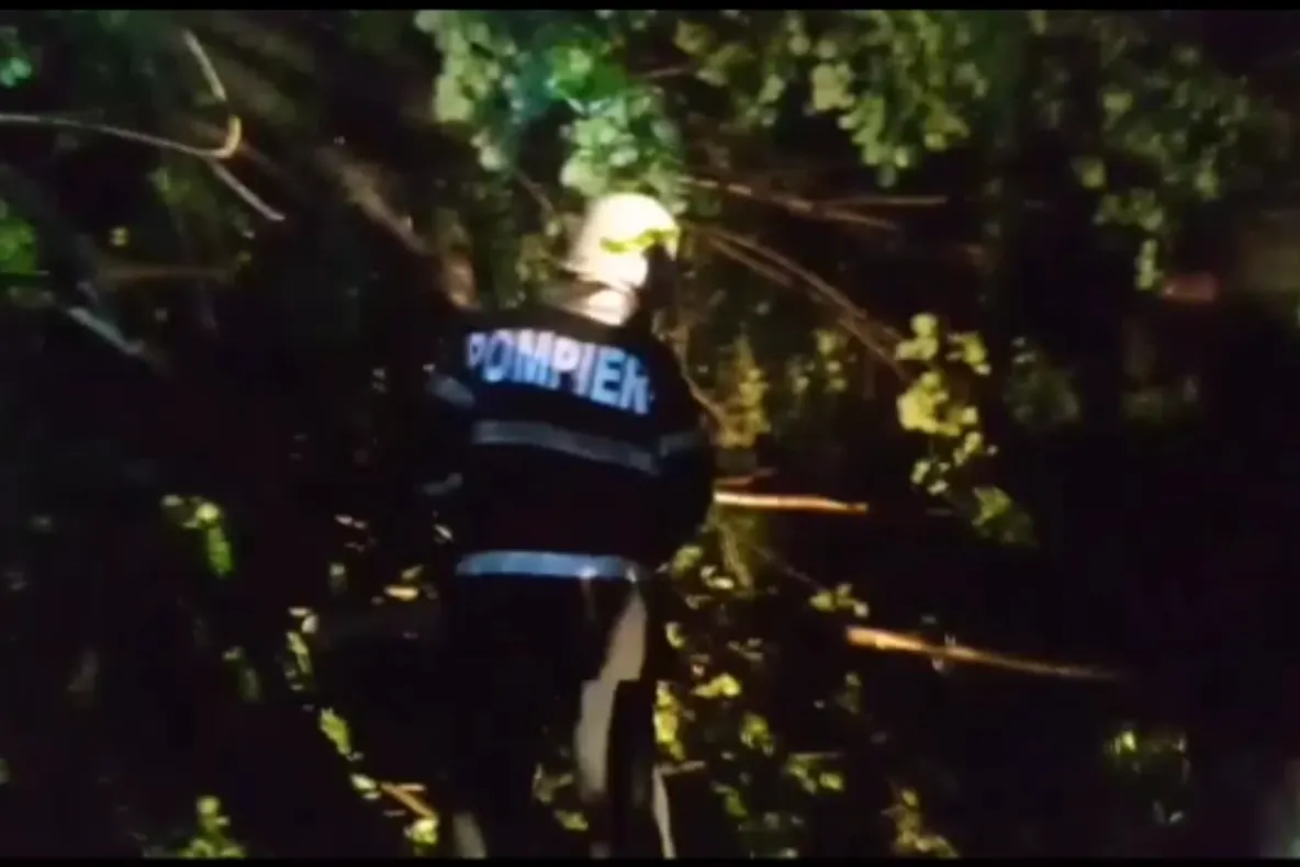 Grindina a făcut PRĂPĂD într-un oraș din Olt - VIDEO