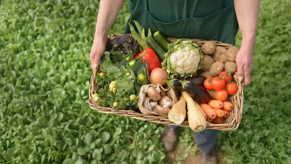 Zeci de fermieri din Olt practică agricultura ecologică. Ce facilități li se oferă