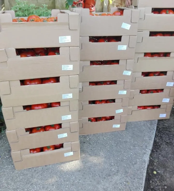 Încă două cooperative agricole, înființate într-o comună din sudul județului