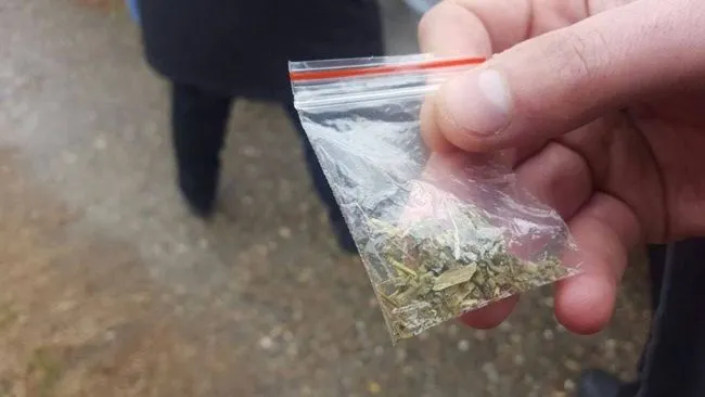 Traficanţi de droguri din Olt şi Teleorman, săltaţi de mascaţi şi procurori