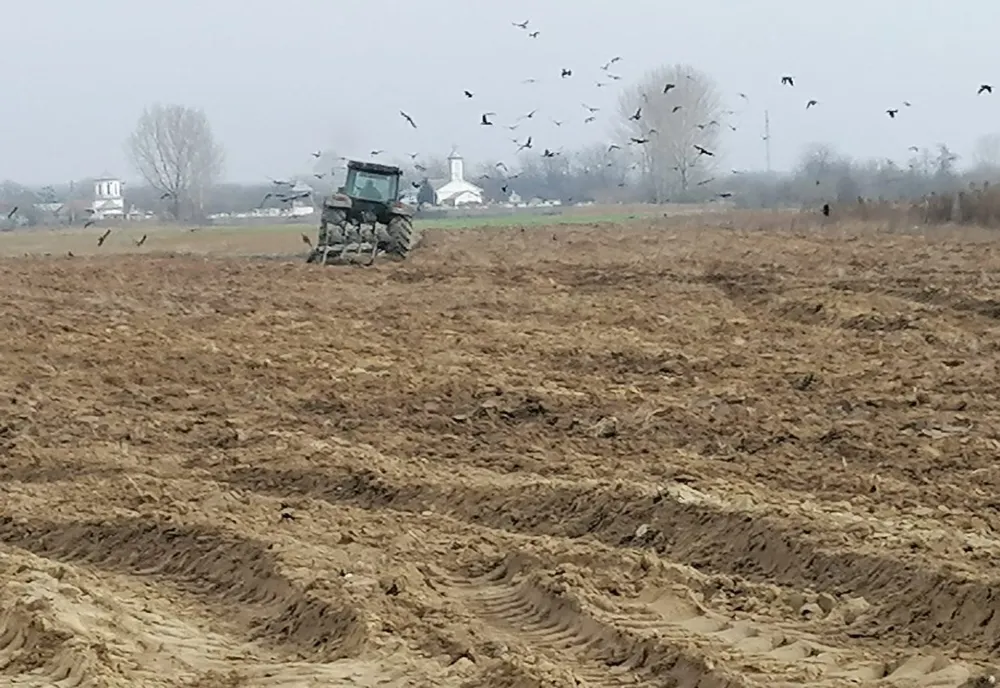 INML a stabilit vechimea oaselor găsite pe un câmp din Olt