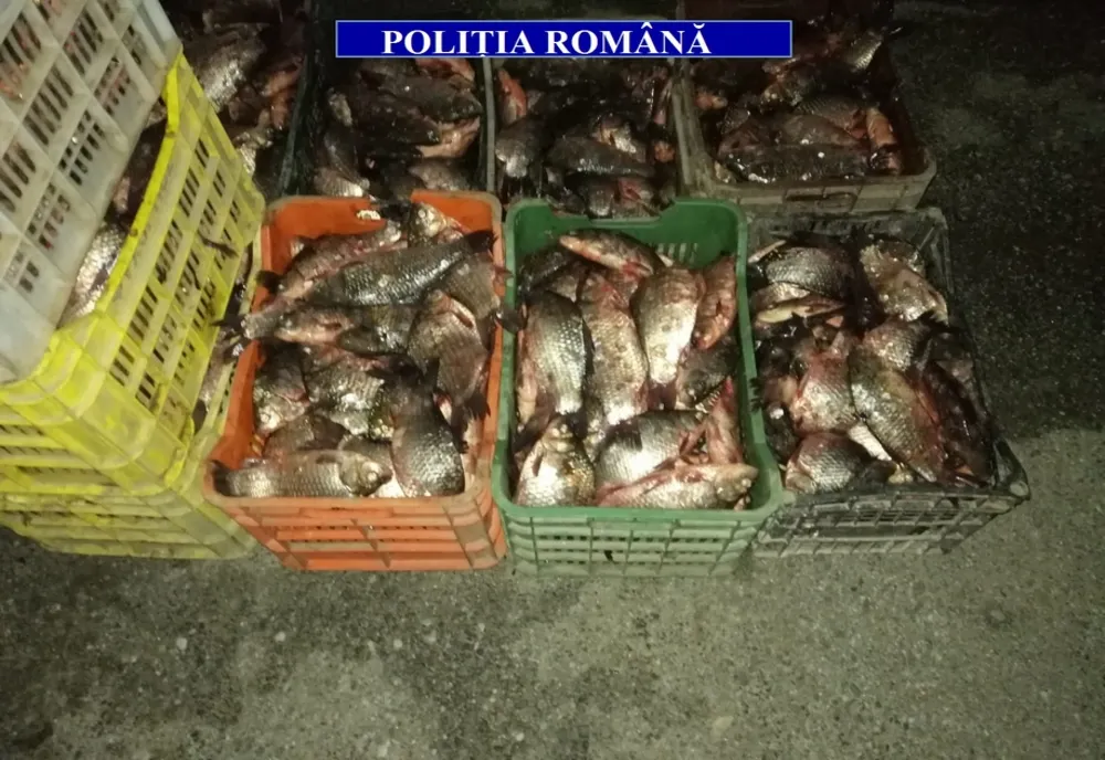 O femeie din Caracal voia să vândă 270 kg de peşte. S-a ales cu dosar penal