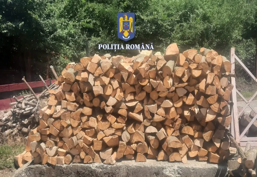 Olt: Amendă pentru un bărbat prins cu transport ilegal de lemne