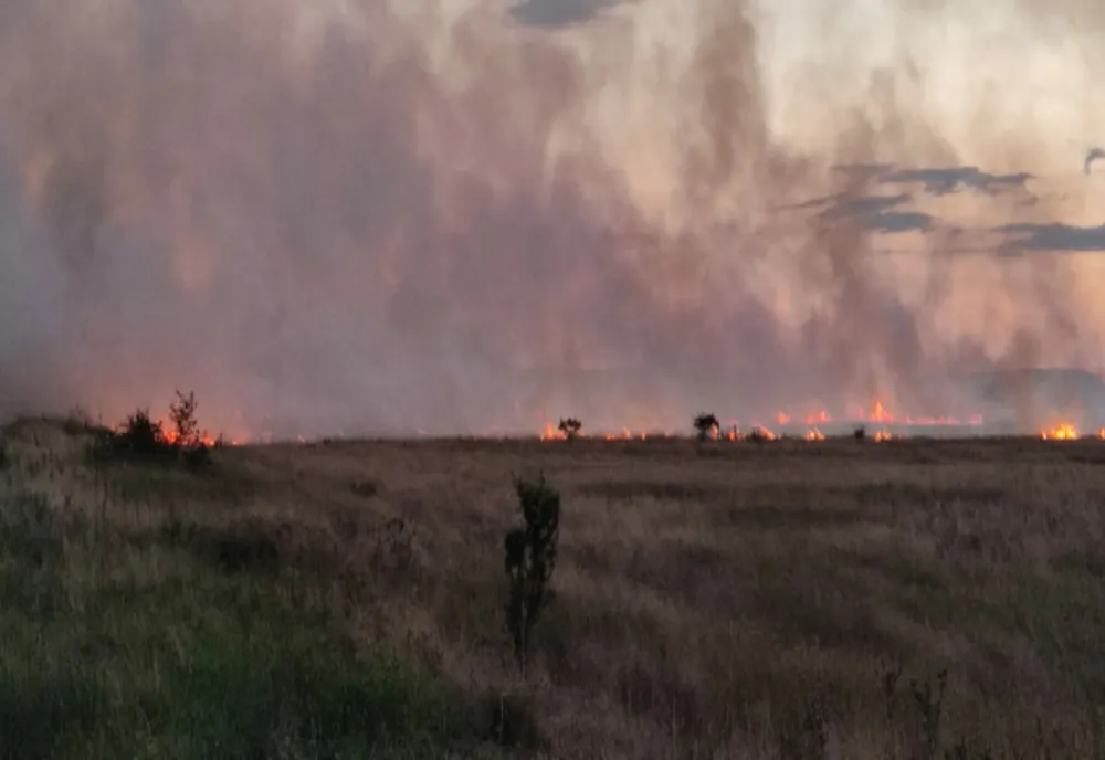 INCENDIU la un lan de grâu, într-o comună din Olt (VIDEO)