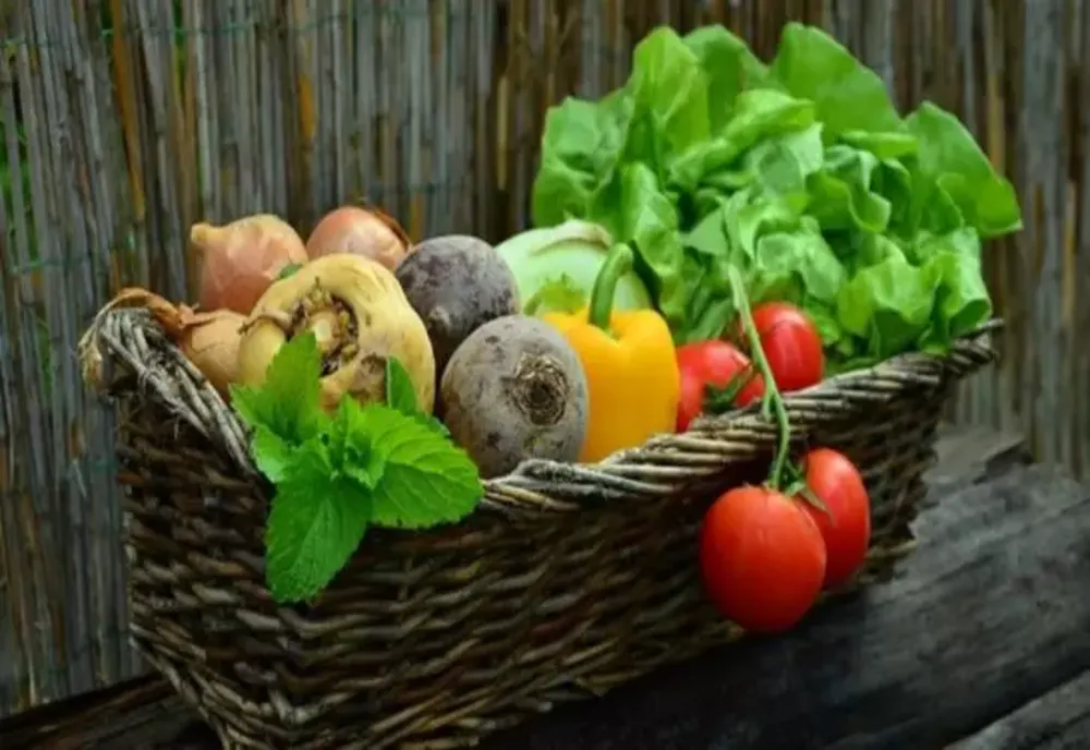 Legume şi fructe, din fermă pe masa consumatorului. Un grup de fermieri a reuşit să dezvolte o aplicaţie