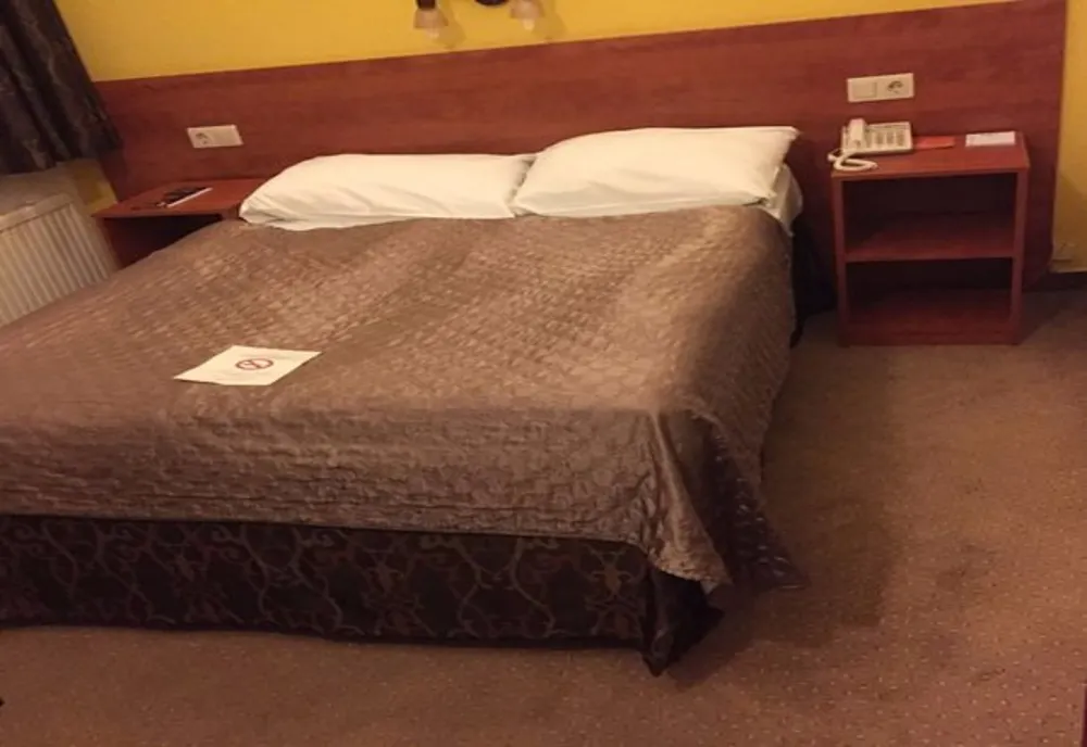 HOTELURILE DE LA MUNTE, PLINE DE 1 DECEMBRIE