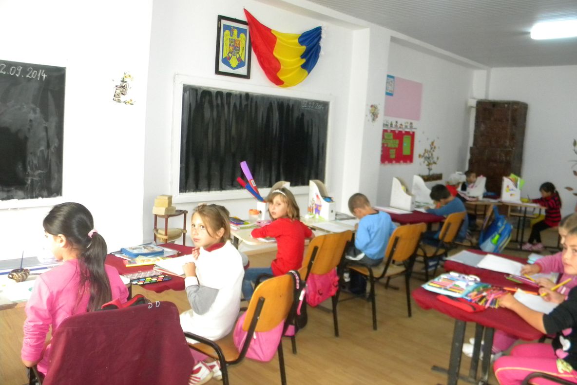 Epidemie de gripă. Şcolile din Olt rămân deschise