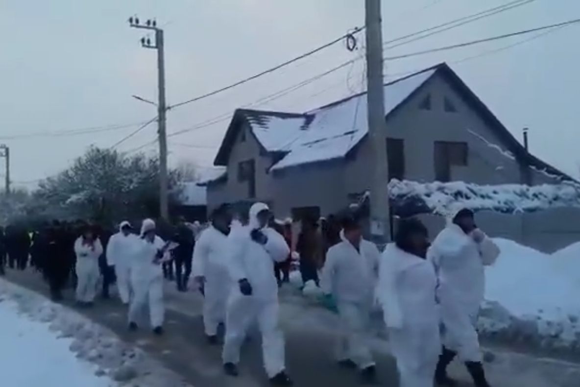 O nouă suspiciune de pestă porcină africană în comuna în care au fost ucişi aproape 600 de porci