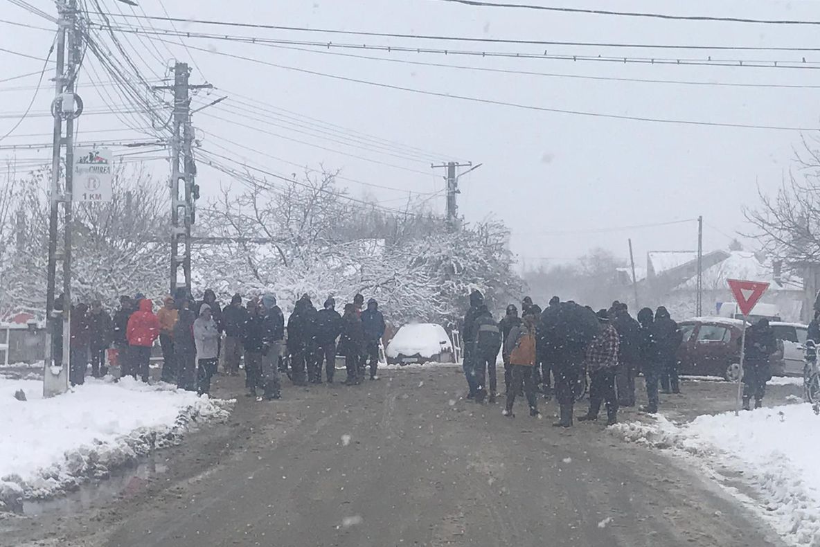A doua zi de răscoală, la Rusăneşti-Olt, unde oamenii au blocat drumul şi nu-i lasă pe veterinari să le omoare porcii - FOTO
