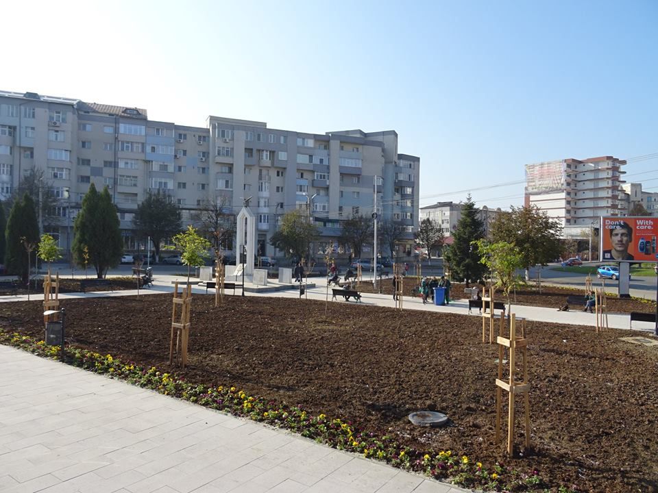 Arbori și arbuști exotici în parcul de la Casa Tineretului