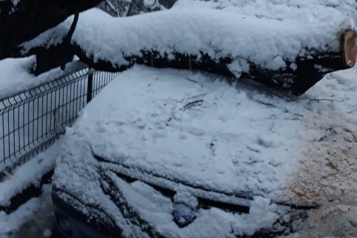 Copac căzut peste un autoturism parcat, pe o stradă din Slatina
