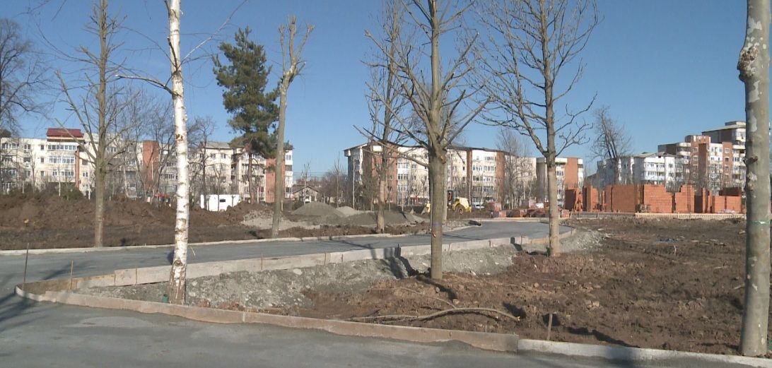 Mobilizare generală pe șantierul noului parc din Slatina. S-au plantat 400 de copaci mari