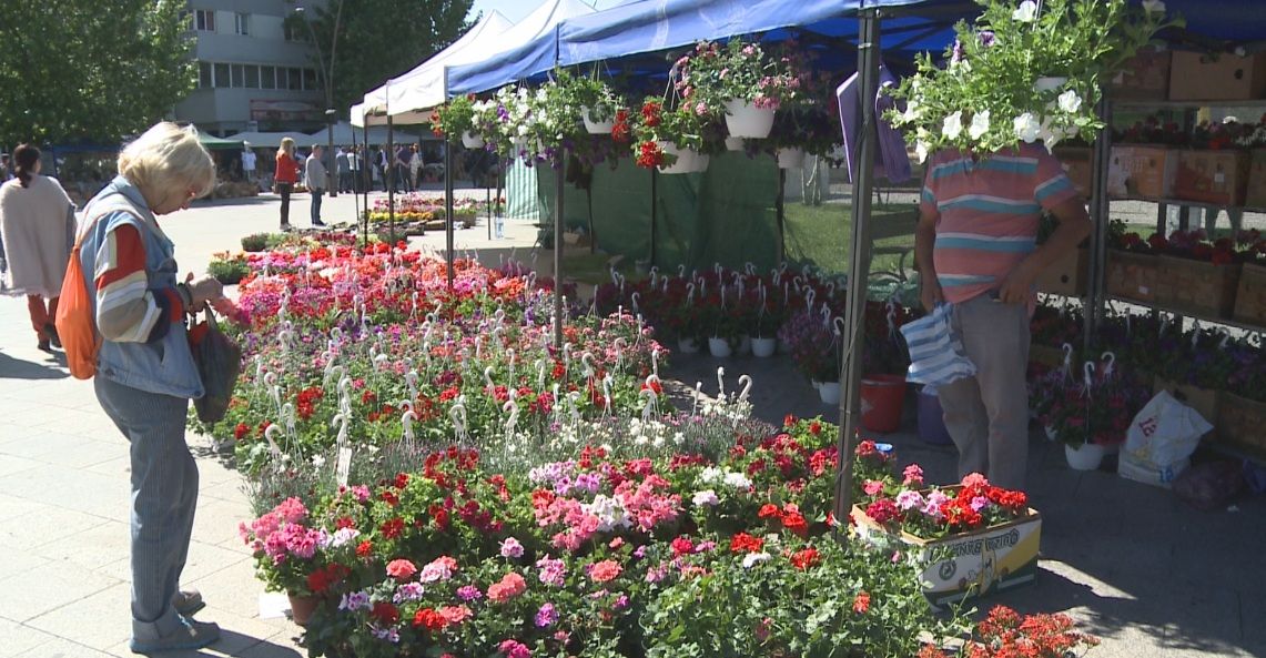 Expo- Flora se deschide mâine la Slatina. Câți comercianți sunt așteptați