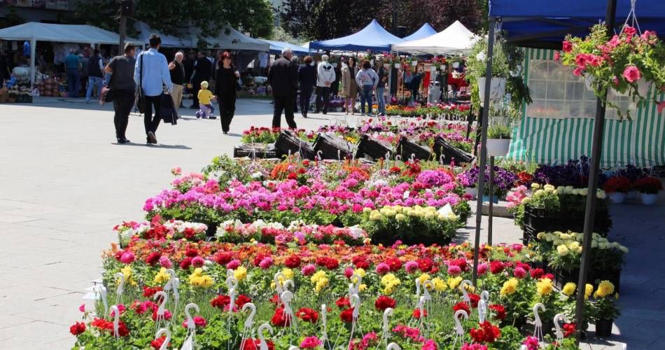 Zeci de expozanţi şi-au anunţat prezenţa la Expo Flora 2019, care se desfăşoară în centrul Slatinei, la finalul lunii