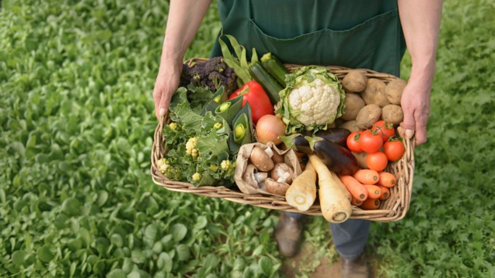 Zeci de fermieri din Olt practică agricultura ecologică. Ce facilități li se oferă