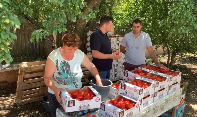 Cea mai mare cooperativă agricolă din Olt este la Vădăstrița. Câți membri are și cum și-au sporit profitul- VIDEO