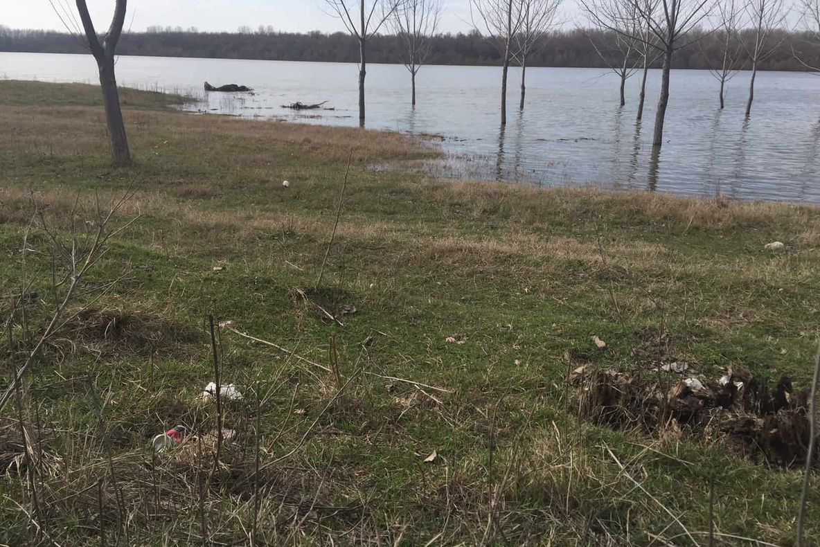 Dunărea a inundat zeci de hectare de pășuni și pădure, la Corabia