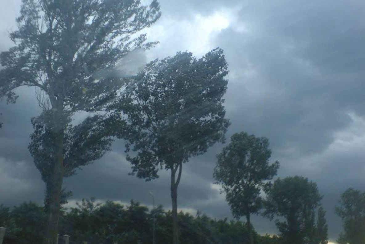 Vijelii şi grindină în judeţul Olt. A fost emis cod portocaliu