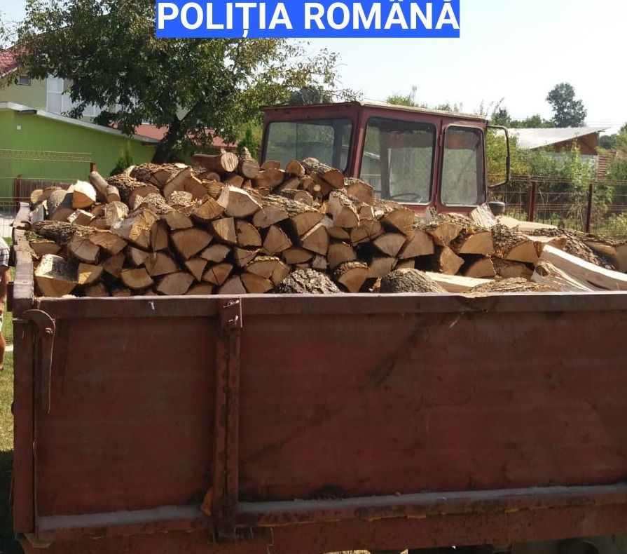 Lemne furate din două păduri din Olt, găsite în locuinţele unor persoane din Potcoava şi Icoana