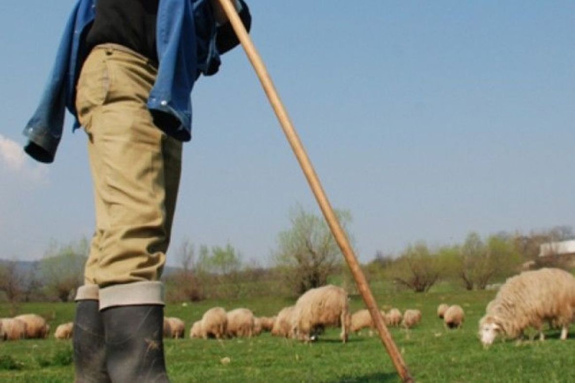 Crimă înfiorătoare la o stână din Olt! Un cioban și-a ucis iubita în chinuri groaznice