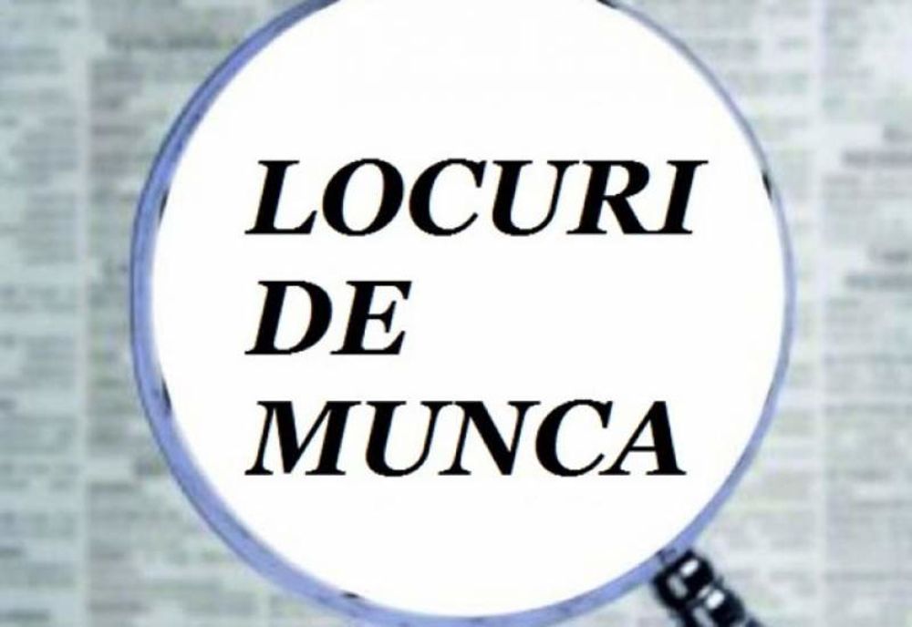 Prea putini olteni interesati de oferta de munca