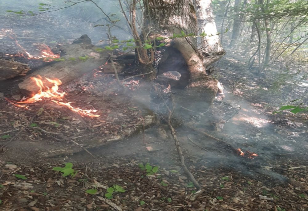 Pompierii atrag atenția cetăţenilor asupra situațiilor în care se poate evita producerea unor incendii în această perioadă