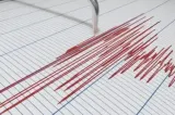 Pământul s-a zguduit în Vrancea, la primele ore ale dimineții. Cutremurul s-a produs aproape de Buzău și Focșani