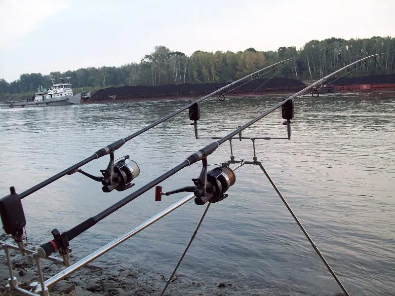 pescari