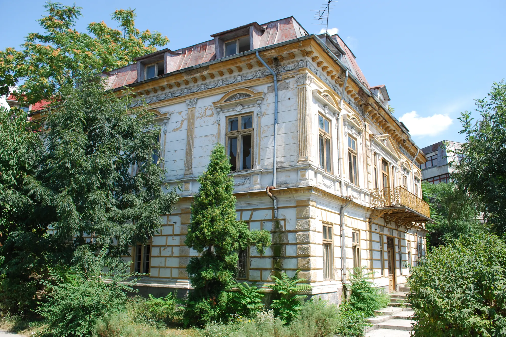 casa fantaneanu (3)