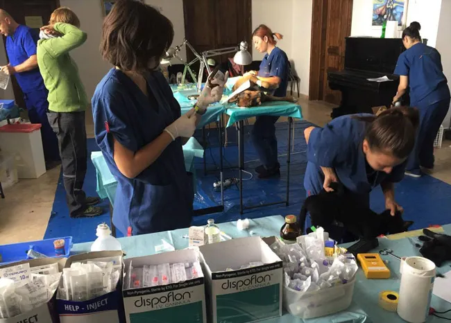 sterilizare