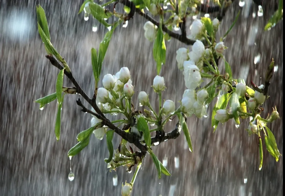 Meteorologii au prelungit, sâmbătă, avertizările meteo de vreme severă, un efect al ciclonului venit din Marea Neagră