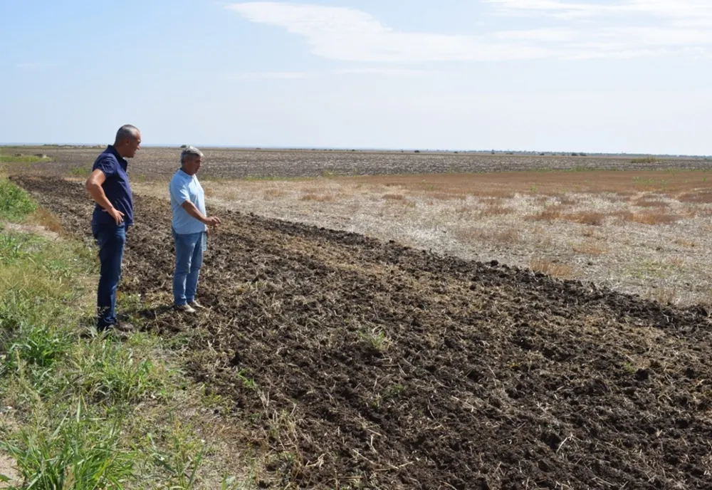 Fermierii din Olt care fac agricultură conservativă şi seamănă fără arătură (VIDEO)