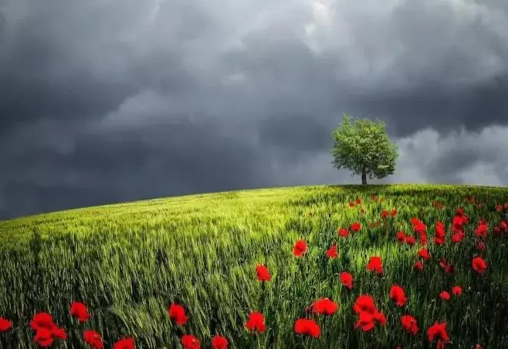 Vești proaste de la ANM. O nouă alertă meteo anunță risc de inundații și cod portocaliu de viituri. Care sunt zonele afectate de ploi torențiale în România