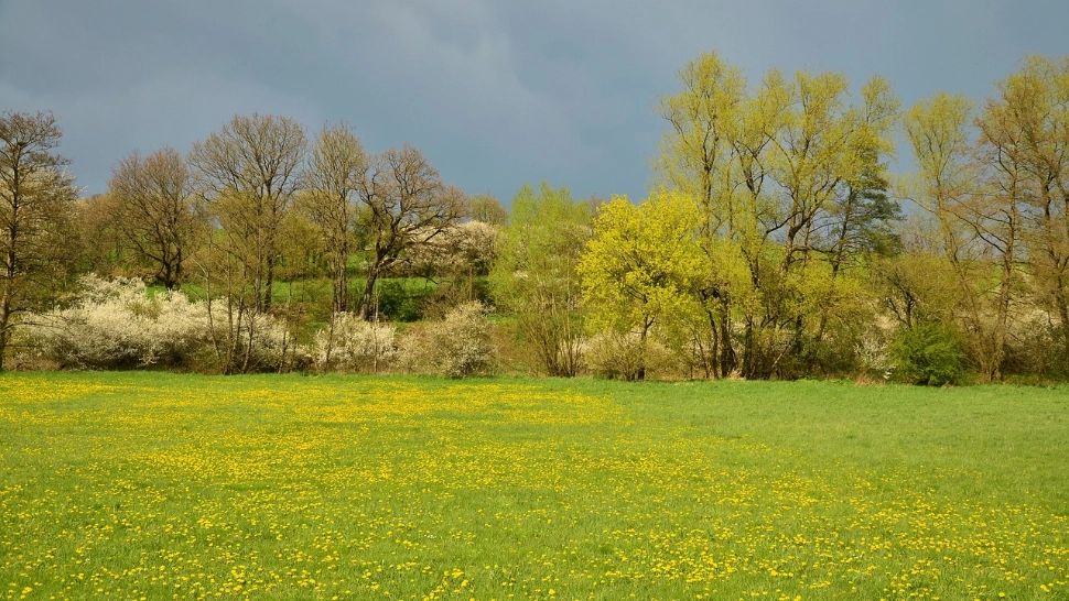 vremea, 1 mai