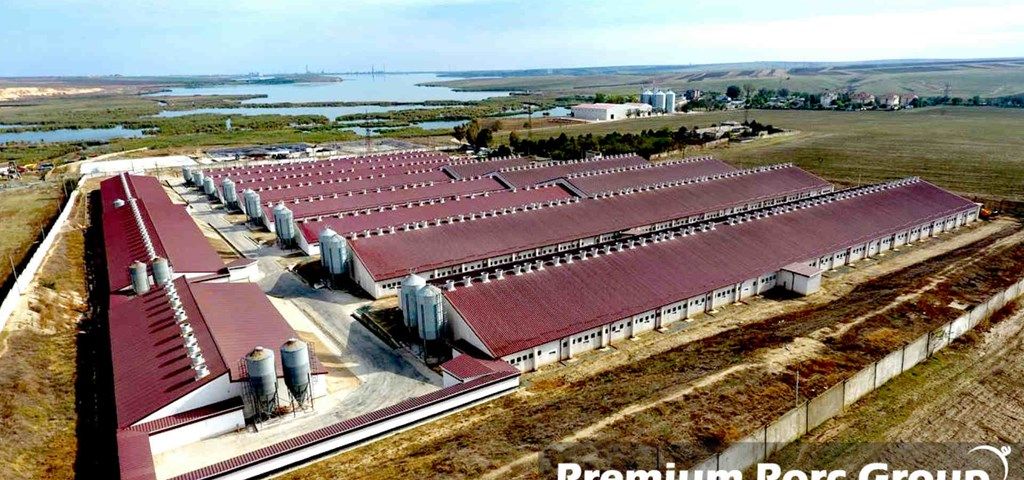 premium-porc-group-farm-3