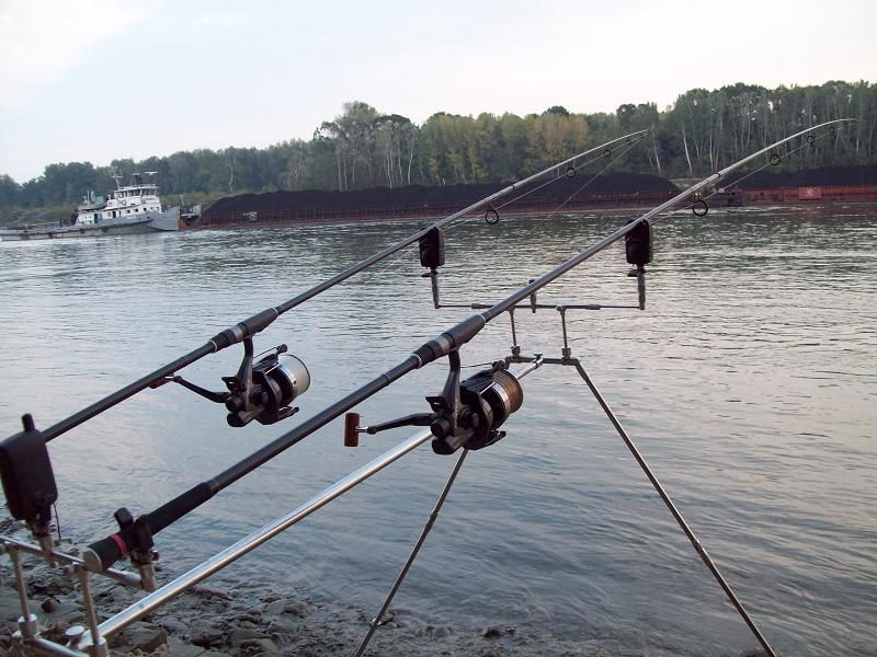 pescari