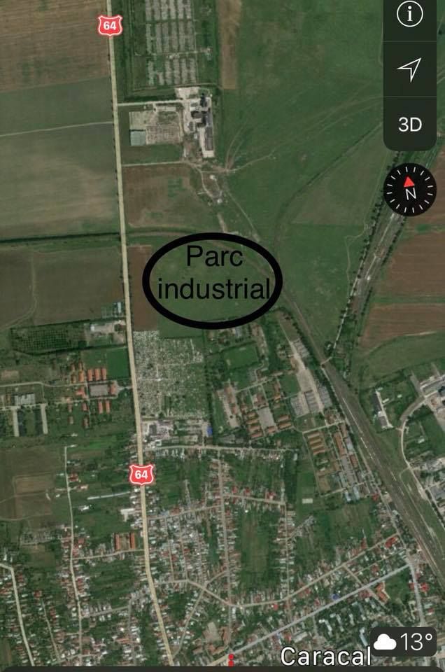 parccaracal