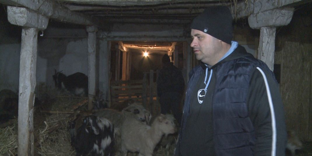 crescatori animale