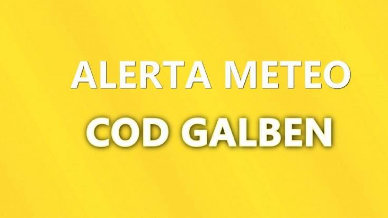 codgalben-1280x720