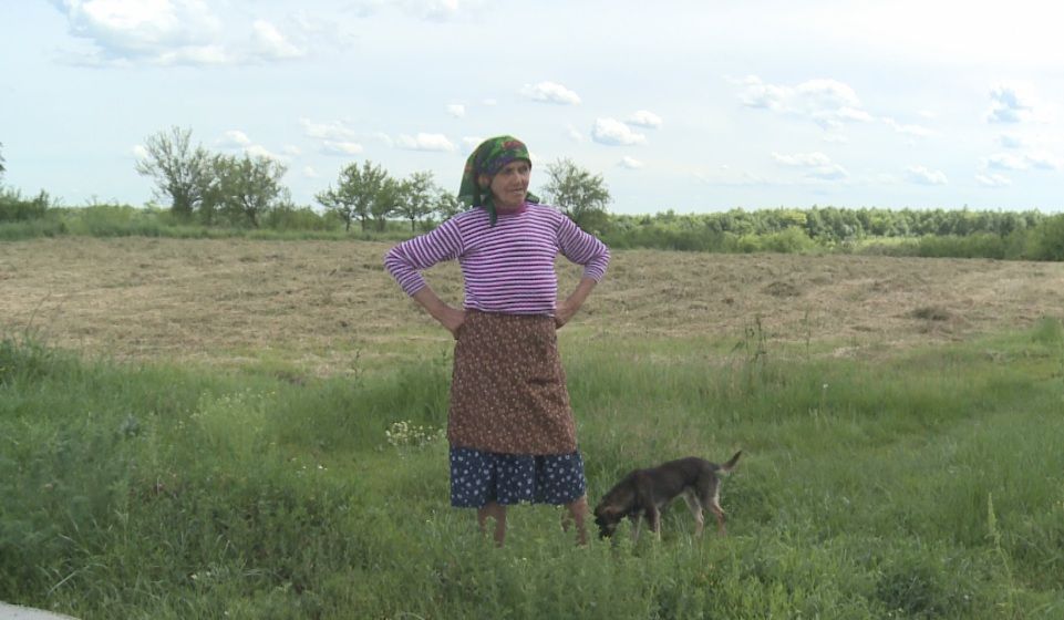 stupina site