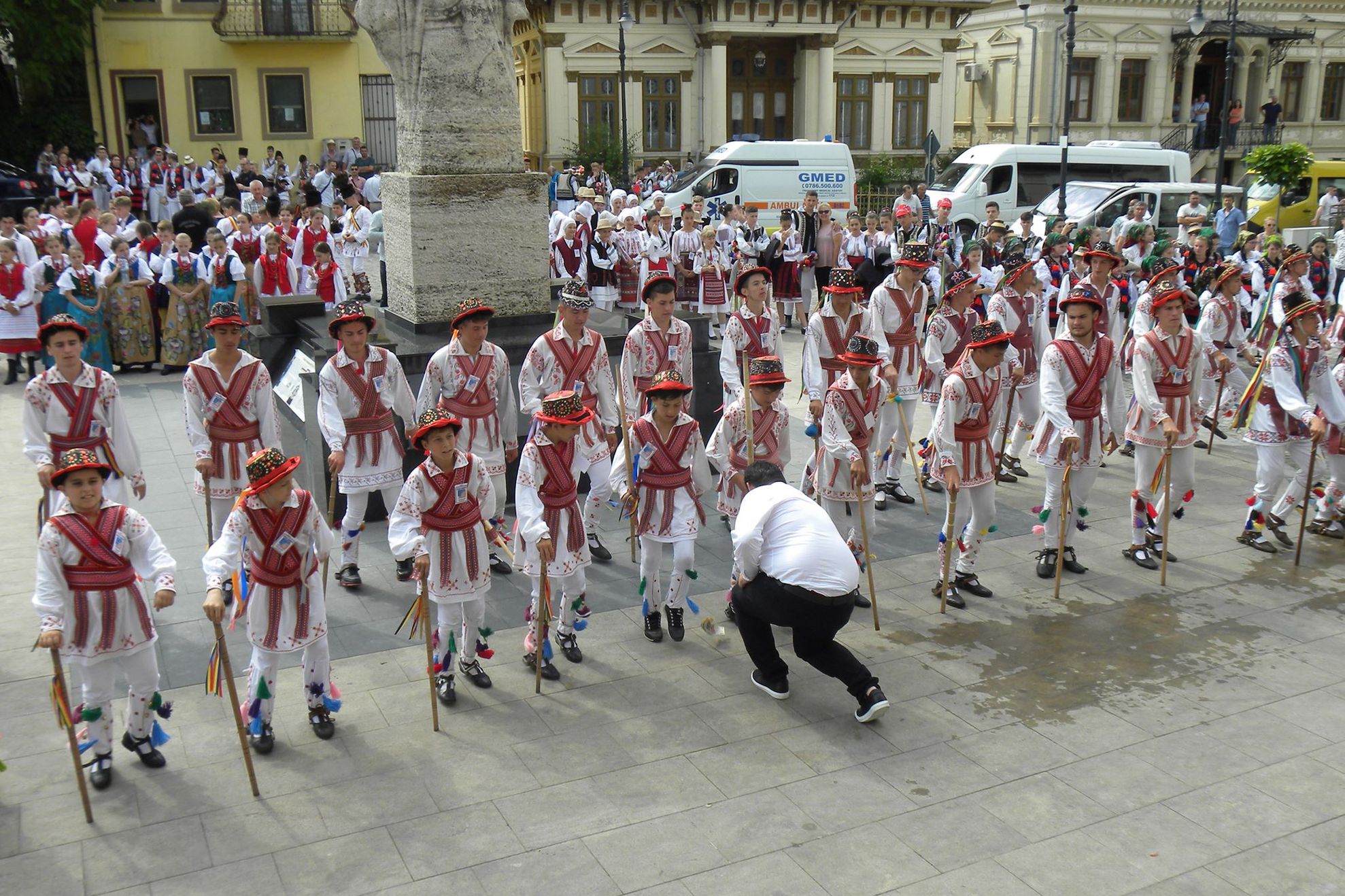 primar calus