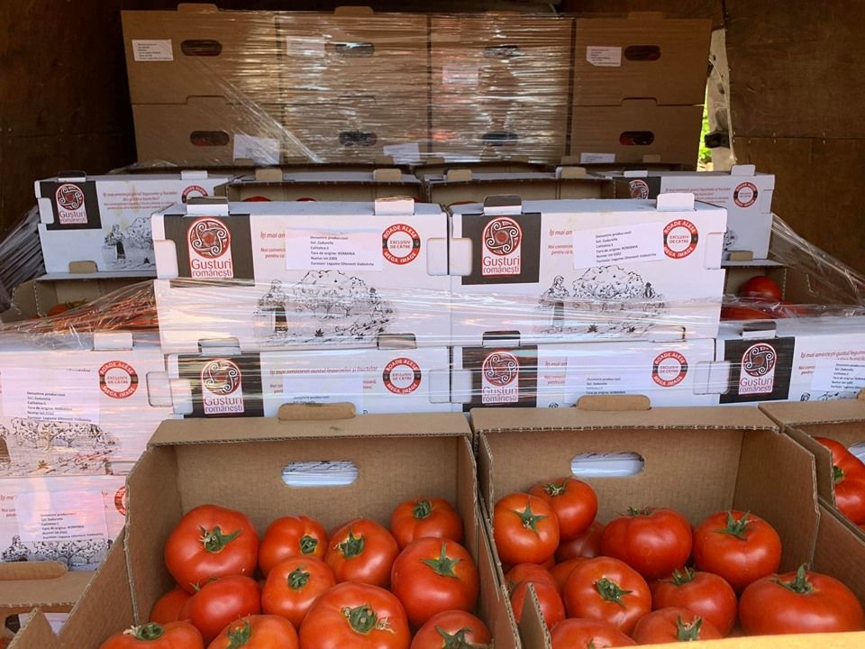 tomate 1