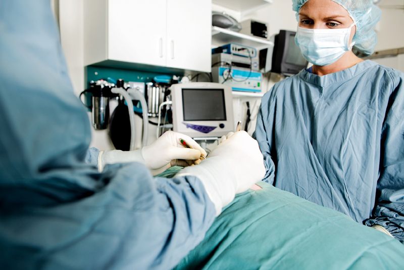 Surgery at Vet Clinic
