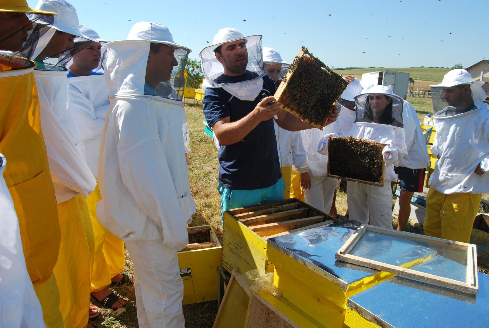 poza-api-liceu-agricol