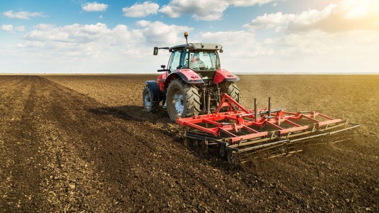 semanatul-graului-perioada-optima_750x422