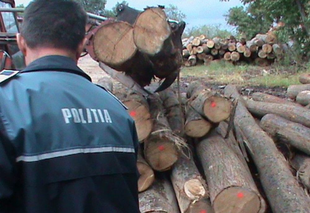 Poliţiştii din Olt au interceptat două transporturi ilegale de material lemnos