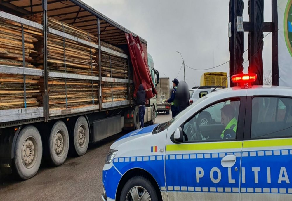 Anchetă. Doi argeșeni ar fi comercializat cantităţi importante de material lemnos, achiziţionat din cadrul unui ocol silvic din judeţul Olt